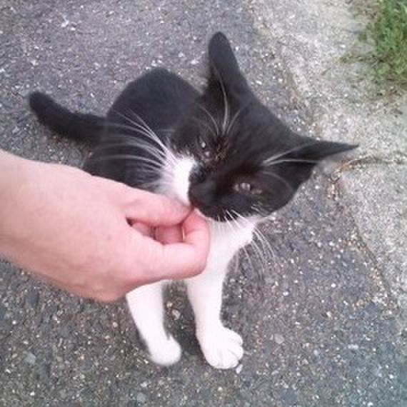 34cc91a5 803a 447c 9aa5 0aa20ef761a1 1588668027398