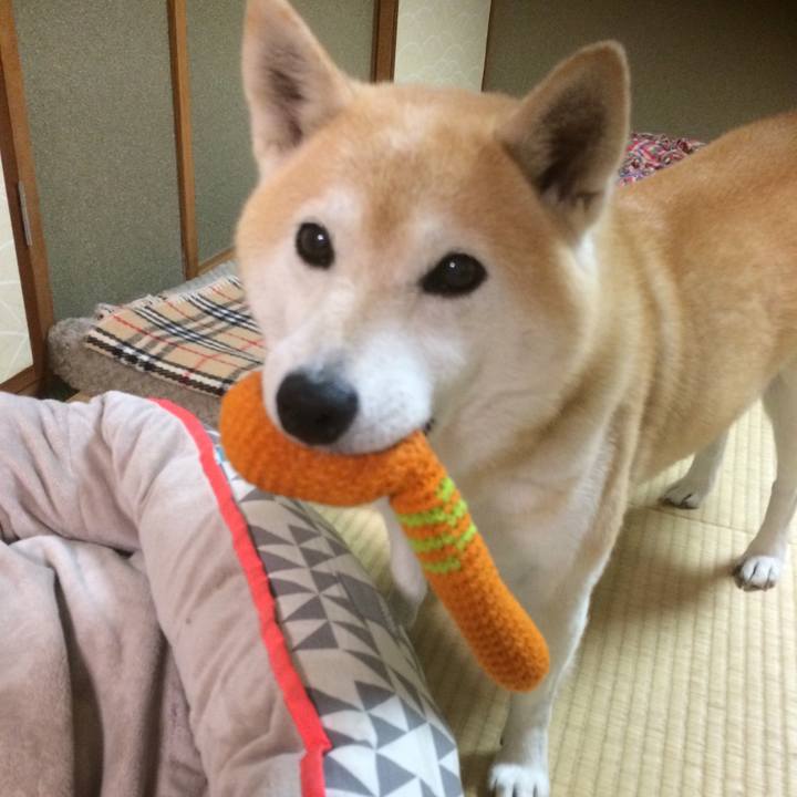 34ccaec1 746f 41f9 a1ef 3a29bdd00e54 1542472869986