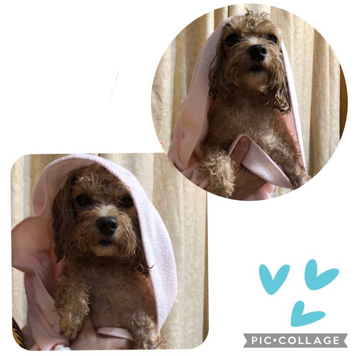 34ccfebc a7c5 4d73 b3d1 6cc13793730b 1631655745016