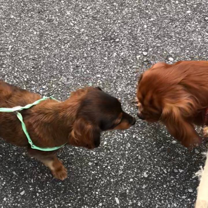 34cd0348 79d1 40a6 91fb ef97c86e7406 1588381887883