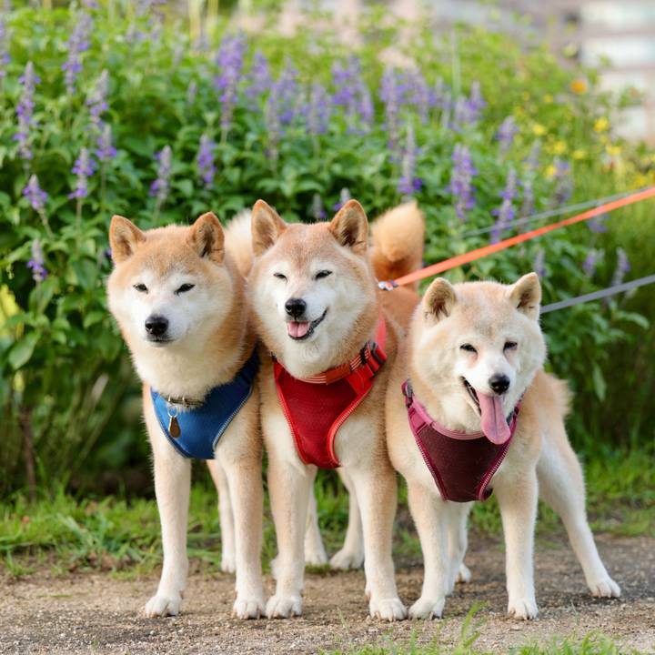 34cd0549 42fc 4150 b693 8ccb35e2a541 1752929070995