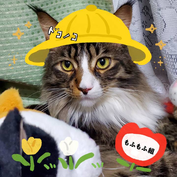 34cd1ff9 091c 4377 9438 f61a00cf1740 1712718173121