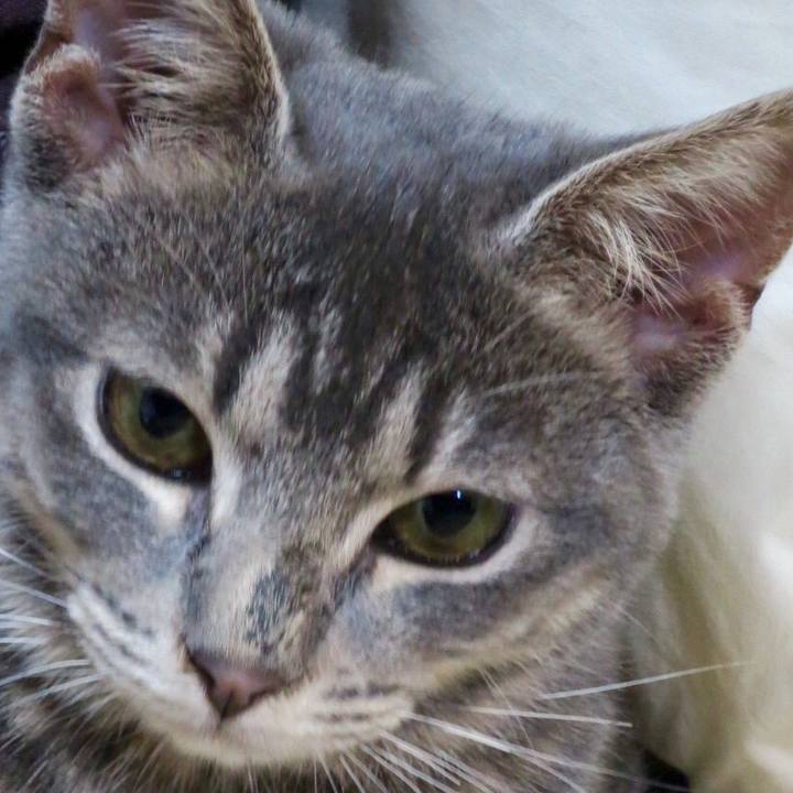 34cd2863 8143 49dd 9eb9 43ec61653378 1509722470109