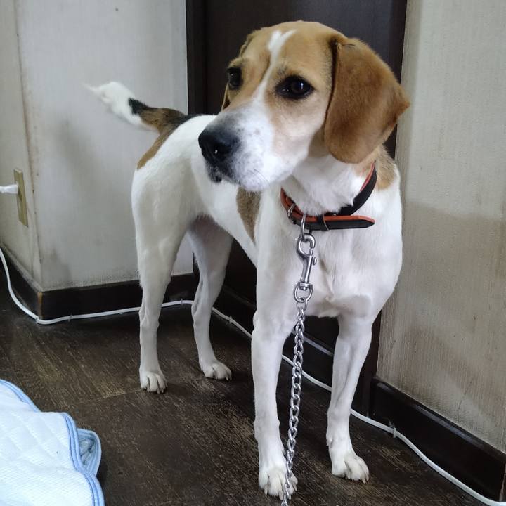 34cd4a20 0c81 4e90 b462 be0b164c13f7 1621581231182