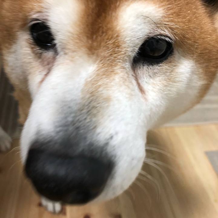 34cd6a67 6336 4546 a8e0 c500cfe455be 1550011131717