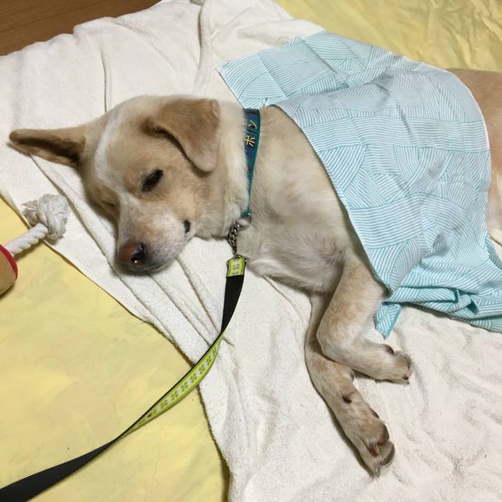 34cdb046 4e8f 4e2e 8b34 c6c82b7d9e90 1530284095286