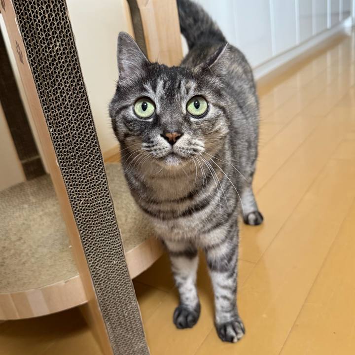 34cdb861 7d33 4d04 8501 661db1128405 1759023933860