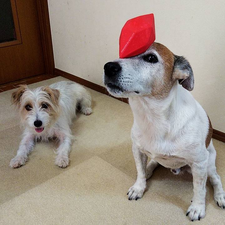 34cdf857 e7d7 45ea a584 d89bfce9eb84 1564289056247