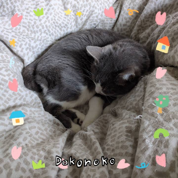 34ce5e26 615a 41a8 9421 d7dd273b5e61 1741221645388