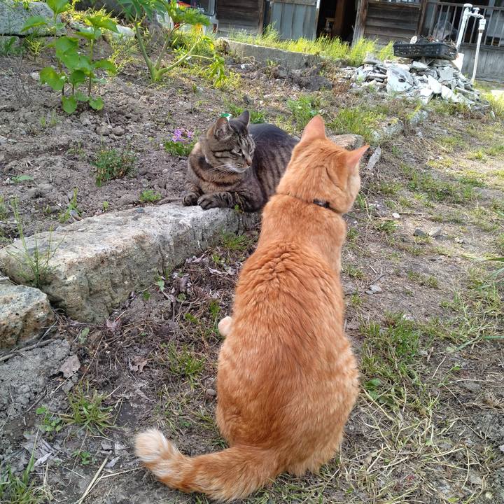 34ce6834 ad8b 42f5 8fc6 073a8af02ffc 1685174492971