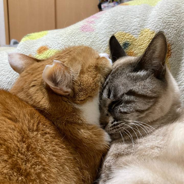 34ce8da0 4545 4a42 aa61 5ee9c65c628a 1774106504030