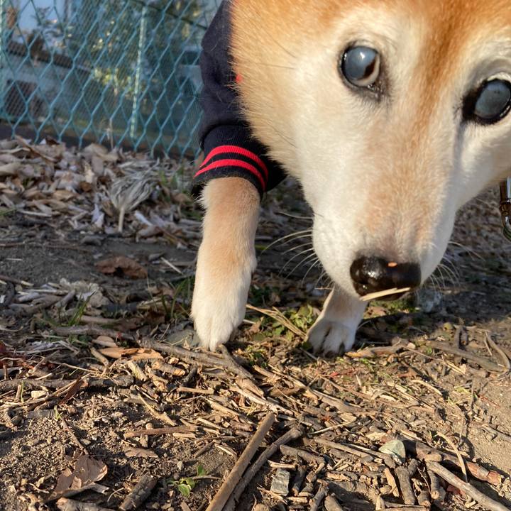 34ce96f3 79ef 47f6 8e89 7a0e8e7e5aad 1738311752917