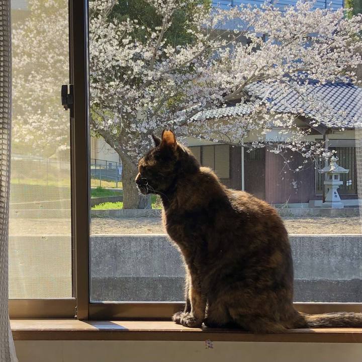 34ce9a13 eaf7 4192 9f34 018387043122 1743814933847