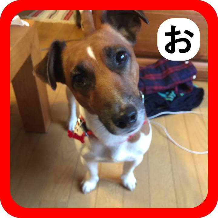 34cedb4a 1098 4438 be84 9761289b25b5 1514847056520