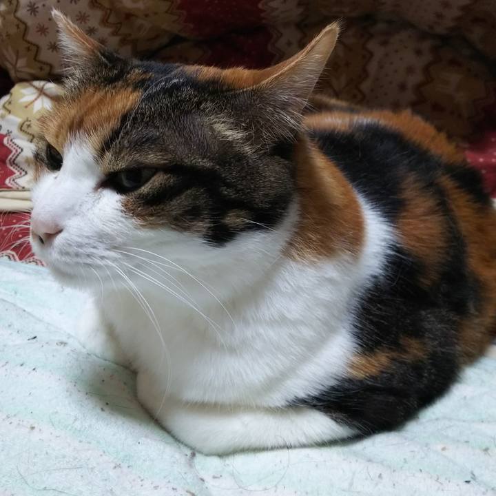 34cee4a5 e902 4e47 a49e e28ed3d89976 1557103266452