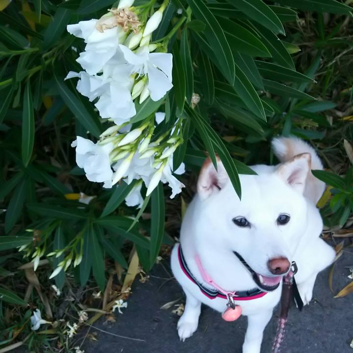 34cefe5e 11f8 4fa3 826c f9dc1e3cde14 1530614826170