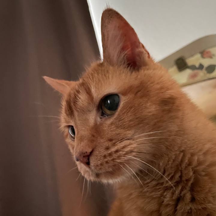 34cf032b de7d 4448 b5cd 74dc7e29d3ad 1769477904043