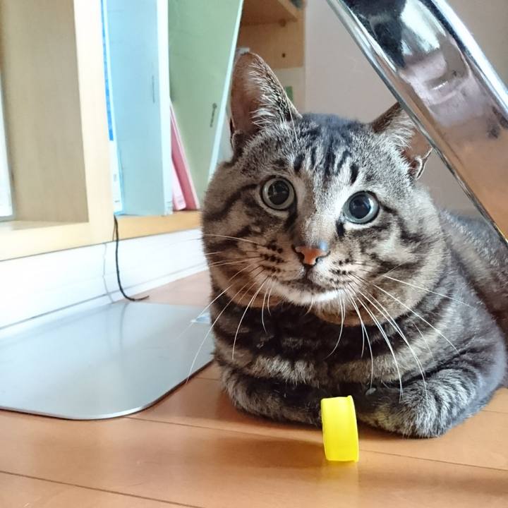 34cf0899 d350 4874 aae9 c5a611d9fa74 1559251477442