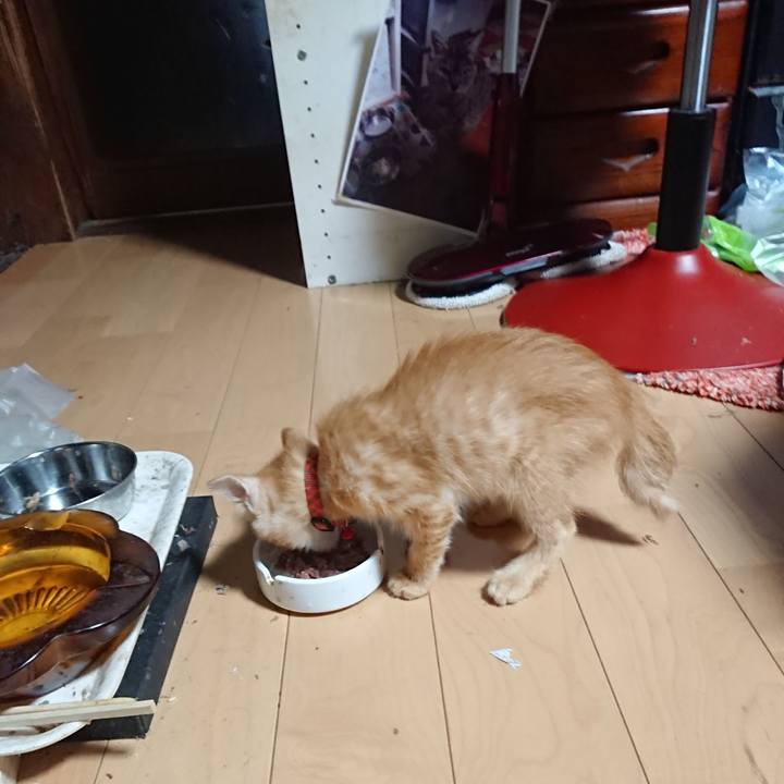 34cf10eb 506f 4a0e 8be4 450c7aeb4209 1628542227263