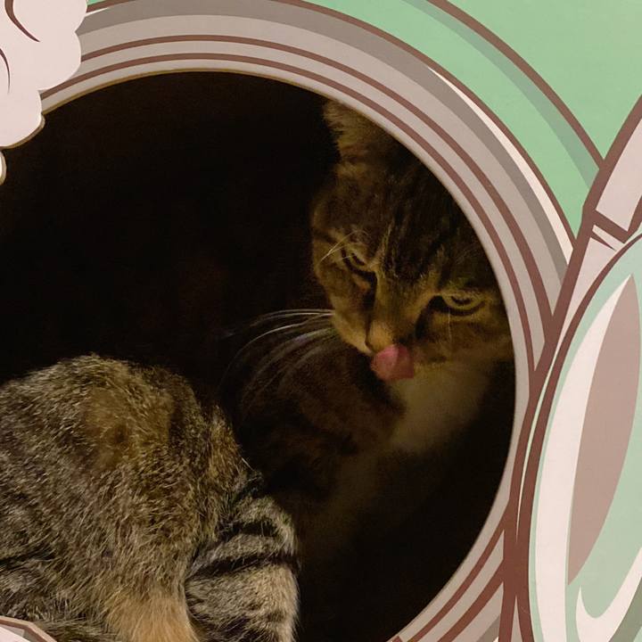 34cf1a0b 8c3b 43c6 8ecd 807245426589 1698057798302