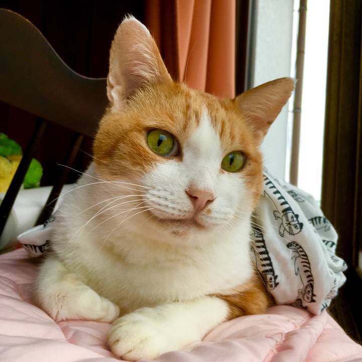 34cf251d 3659 4de4 bd31 9ab5f52de95e 1570792969298