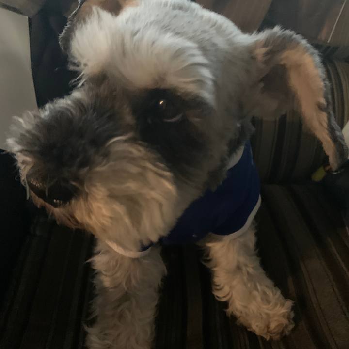 34cf3311 56c7 4b5b 9425 3c096a5ec8c3 1655630351154