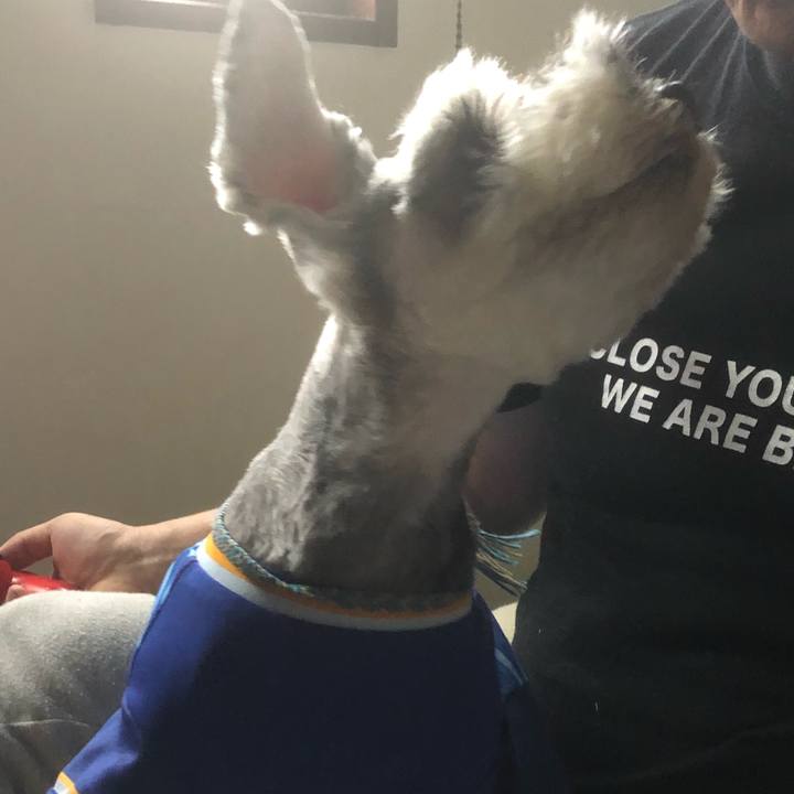 34cf43a4 b771 4a4e ae5c db2fd4ebc342 1568615343758