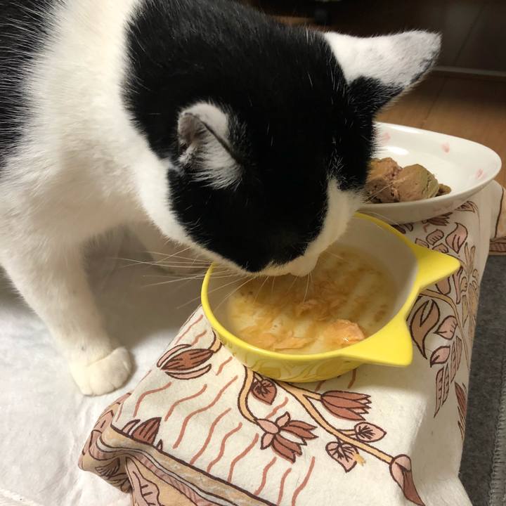 34cf444c d9c5 42e8 b332 301d65e37fac 1546341525764