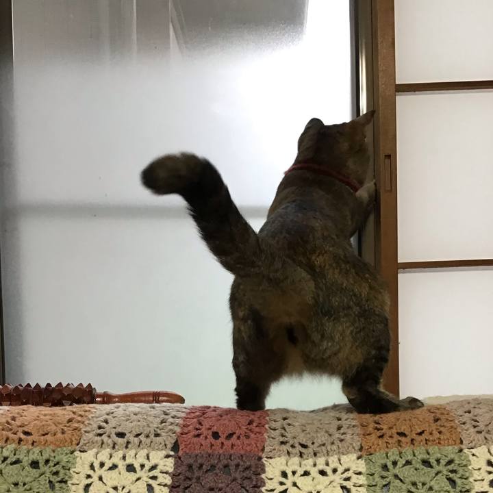 34cf649f 8e11 46c1 b8fb 5f64b32a297f 1600849878039