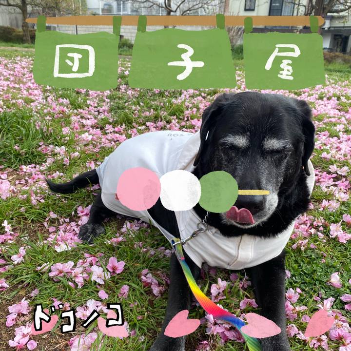 34cf6ee5 19cc 4836 b507 0654a160627c 1712237378936