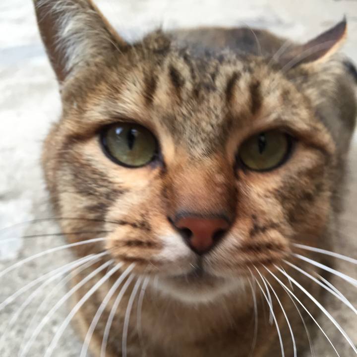 34cf90eb 5674 4e0f a34b 9568a2d1efee 1510620522023