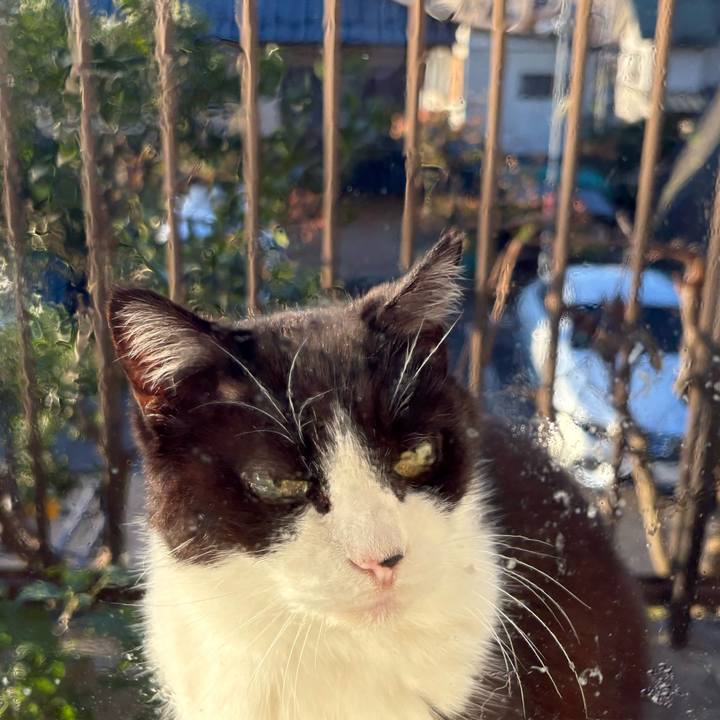 34cf98f9 a20c 4a9b b153 3ff7e1ed7541 1763984685289