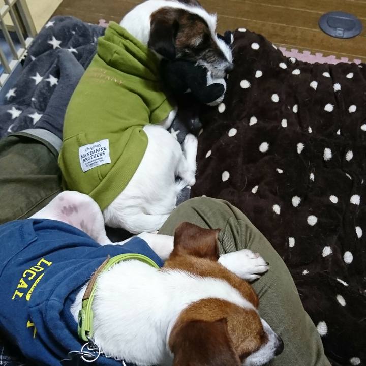 34d042fc de10 409c b6a0 c3bc357a3f22 1551961817517