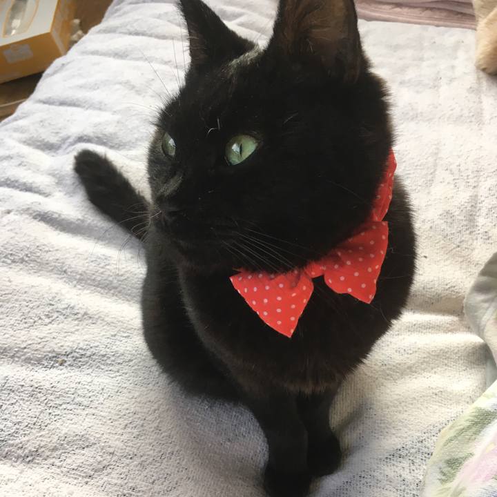 34d05272 53a4 4145 9b11 04b5eb5c4f02 1549839828062