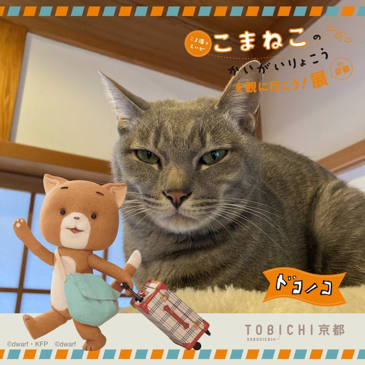 34d07473 dfd3 45a4 98aa 23fa7a141026 1740187725622