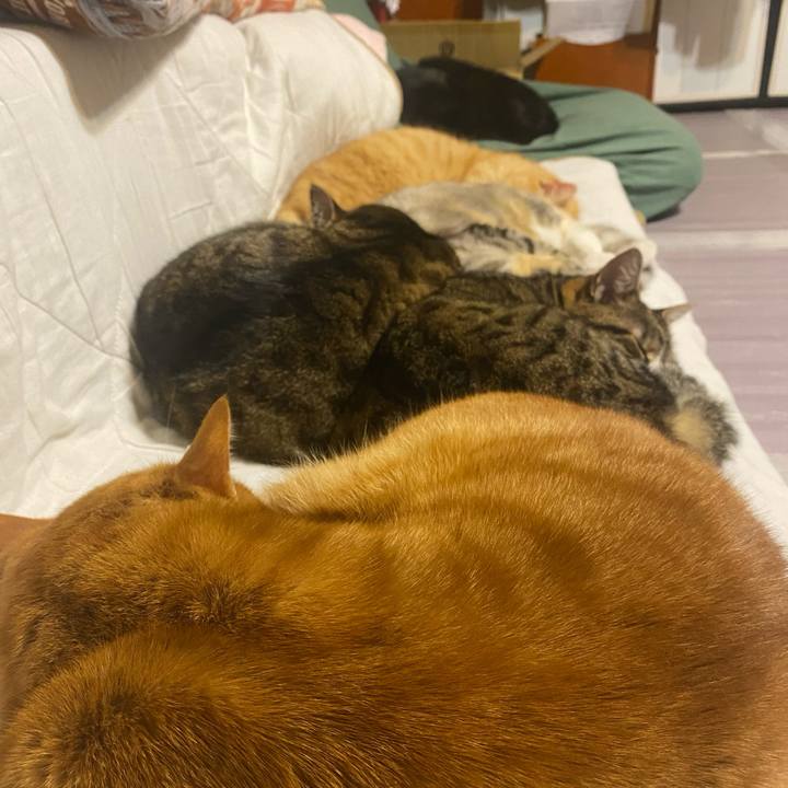 34d085bf fa25 4408 a53a f3de102edf34 1617794309499