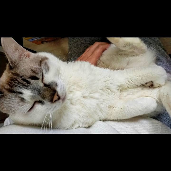 34d1459a f75d 4e06 a02a 9a7dd926b6b3 1605151258189