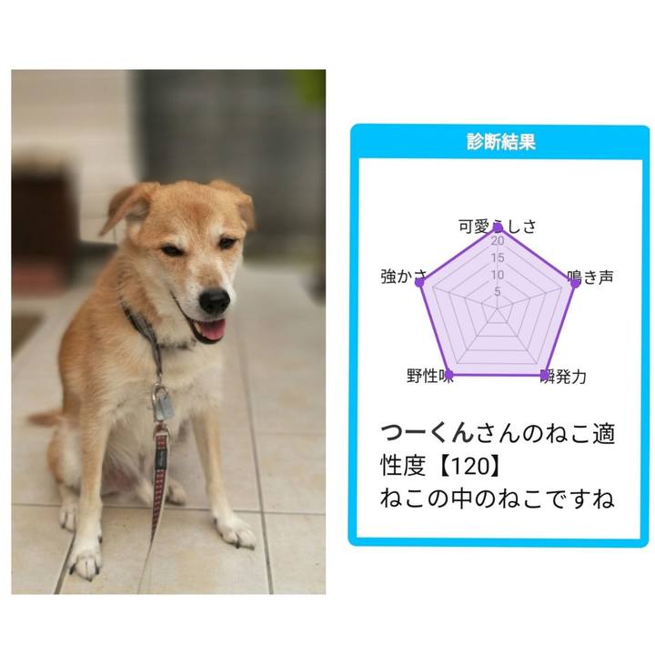 34d16f1c 0359 43b6 8987 dd2c2ac94e9b 1538711450125