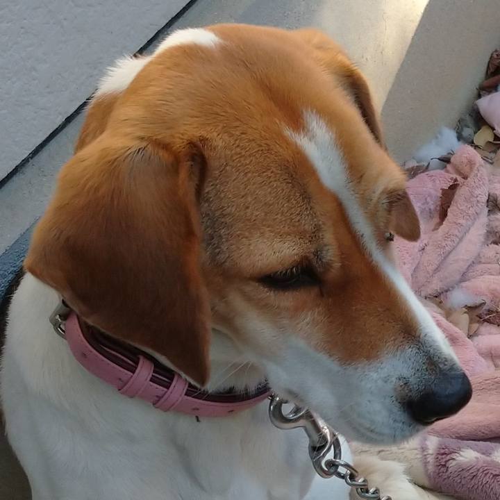 34d17132 3416 4279 839b 4b3feef8ba92 1577507174489