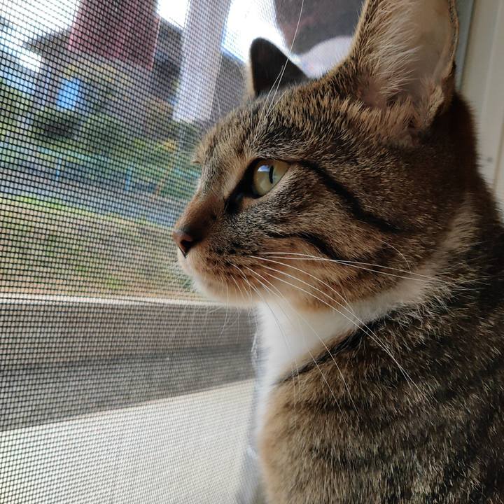 34d194a2 af32 414b 8708 ea8c67e4f71d 1667014829912