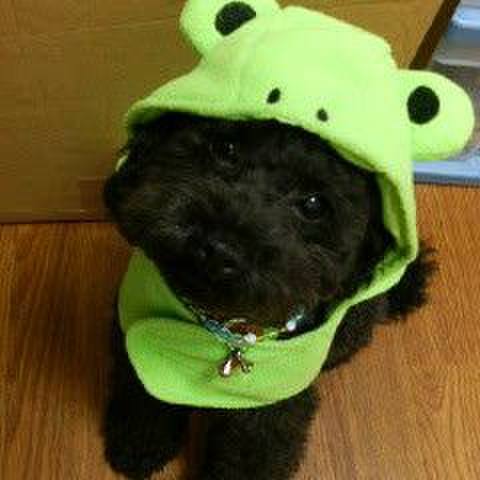 34d1c69c cb51 45bf b3b0 d7dde3685717 1552997954796