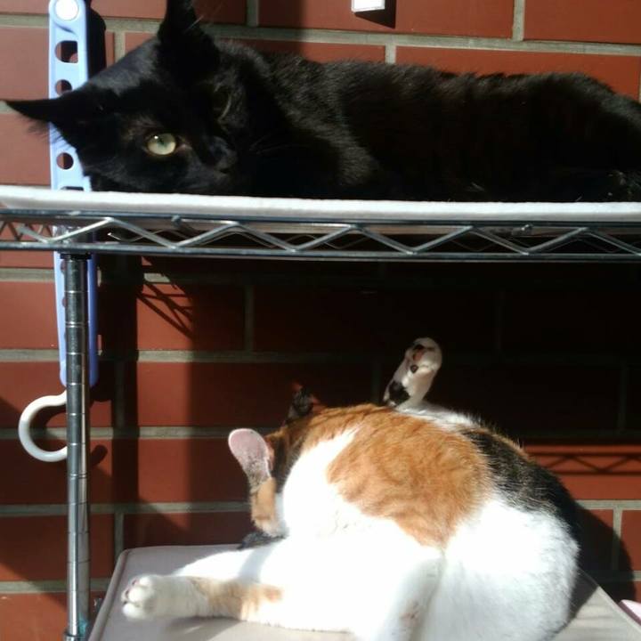 34d1d9a0 e534 4fb7 859b b25de11c3b7d 1536809223706