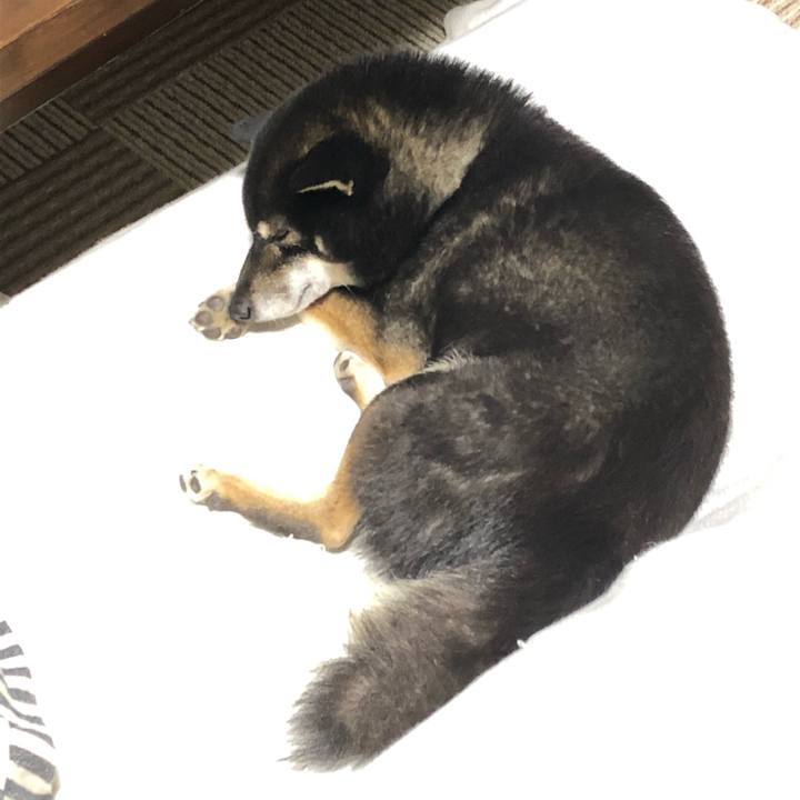 34d1f85e 745c 44cf 9829 deebb09472b6 1543274936585