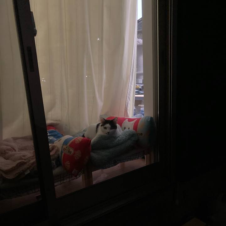 34d20dfe 4e82 4932 a083 84940b89098f 1764663676492