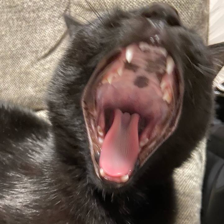 34d2b691 21fd 471c 8930 20d94362c3e1 1617621442918