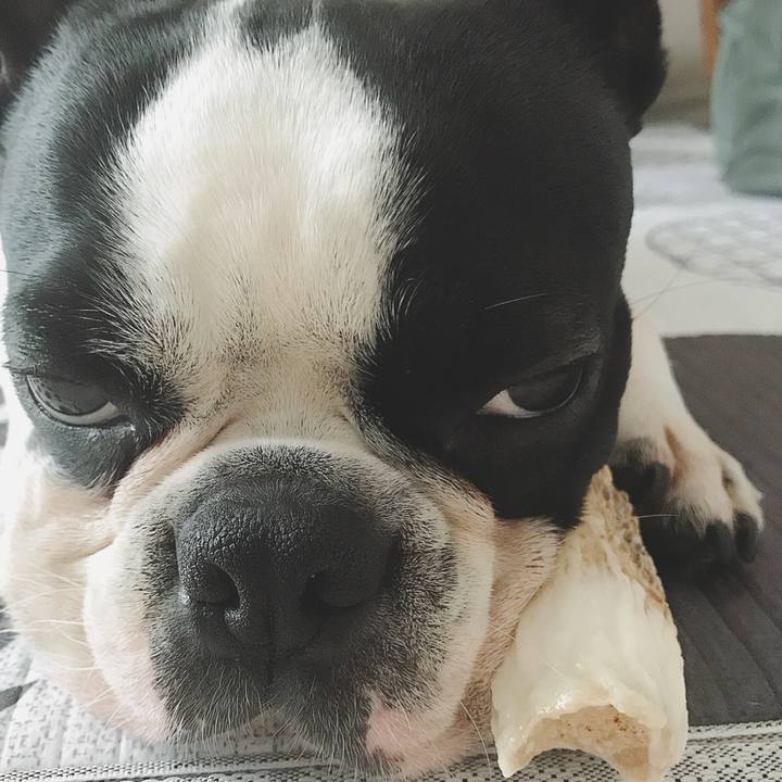 34d30824 dbc2 4f20 8cfc ecc4882ab8b8 1523937459687