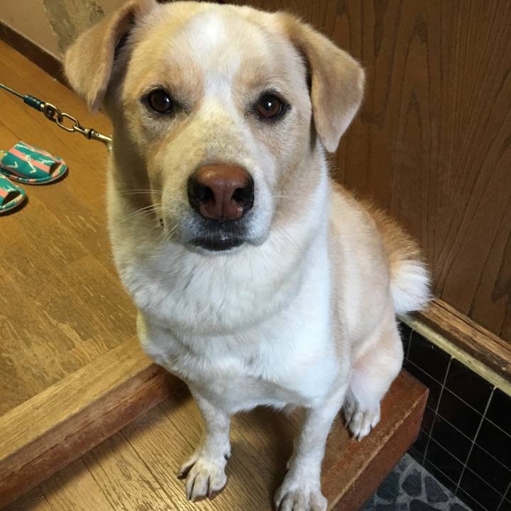 34d30cd7 714a 4fd5 8e79 99c8099da704 1529468721628