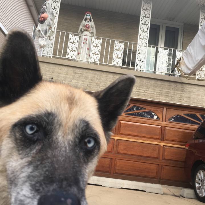 34d30d9e 1f95 465a 903a 6fe6ee5daf93 1571713213944