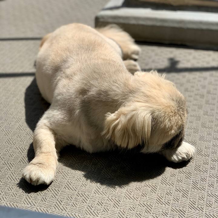 34d33c25 b864 4109 84f9 33f8c88ca77c 1650698048155