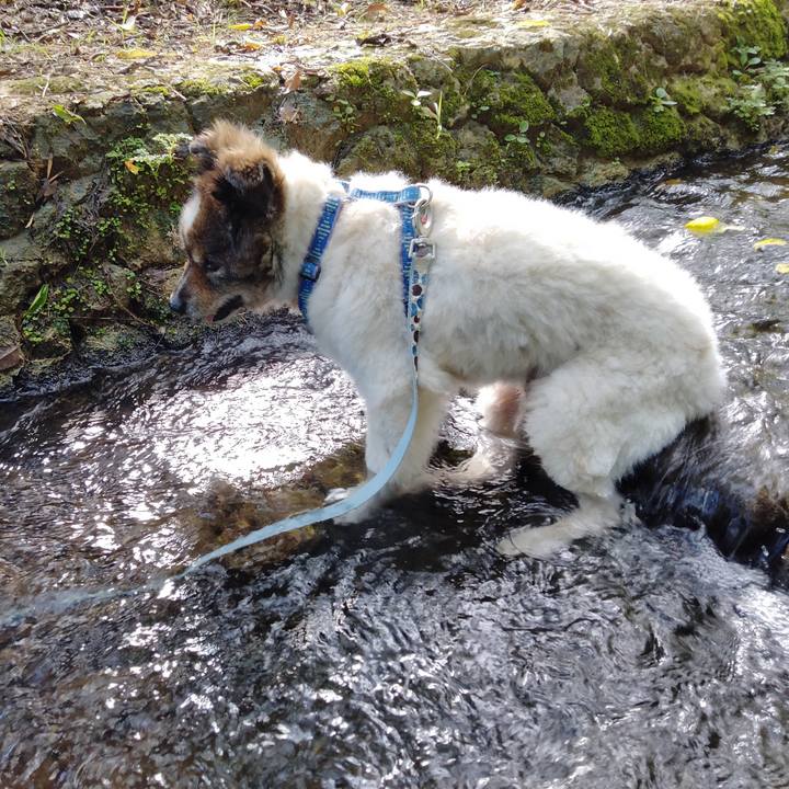 34d3467f d980 4de8 a4ee 51cb978039d8 1630071392186